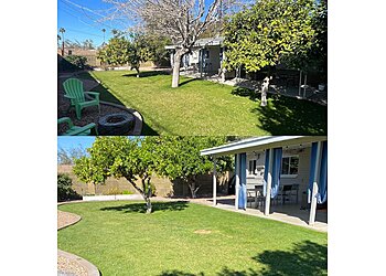 Mesa Lawn Care Services Arizona Yard Maintenance LLC
