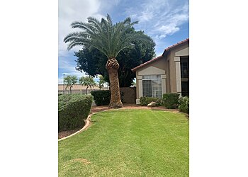 Mesa Lawn Care Services Arizona Yard Maintenance LLC