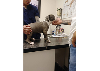 Victorville Veterinary Clinics Ark Animal Hospital