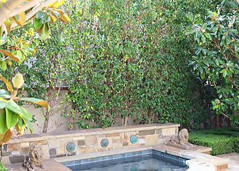 Costa Mesa Tree Services Arkadia