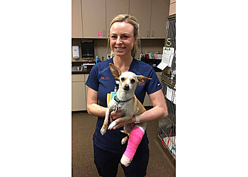 Little Rock Veterinary Clinics Arkansas Veterinary Emergency & Specialists