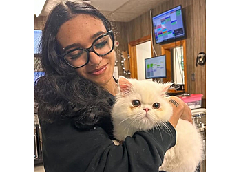 Newark Veterinary Clinics Arlington Dog & Cat Hospital