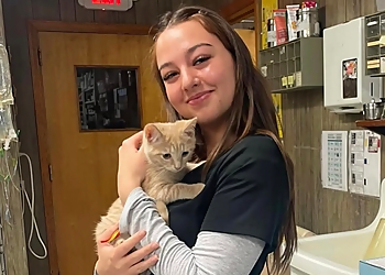 Newark Veterinary Clinics Arlington Dog & Cat Hospital