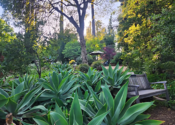 Arlington Garden - Pasadena, CA Places To See - Attraction Image