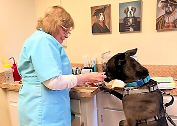 Hampton Veterinary Clinics Armistead Avenue Veterinary Hospital