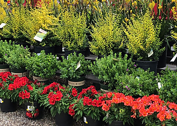 Newport Beach Landscaping Companies Armstrong Garden Centers