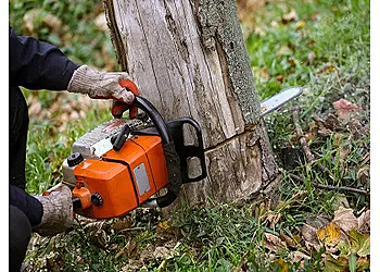 Murrieta Tree Services Armstrong Tree Service