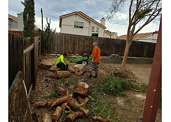Armstrong Tree Service Murrieta Tree Services Armstrong Tree Service