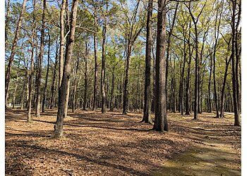 Fayetteville Hiking Trails Arnette Park
