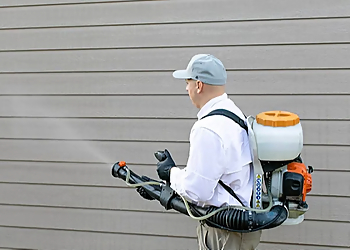 McKinney Pest Control Companies Around the Block Pest Control