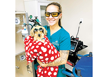 Westminster Veterinary Clinics Arrowhead Animal Hospital