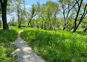 Elgin Hiking Trails Arthur L. Janura Preserve