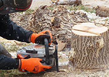 Columbia Tree Services Arthur Ratliff Tree & Stump Removal LLC