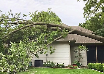 Columbia Tree Services Arthur Ratliff Tree & Stump Removal LLC