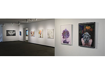 Fort Worth Art Galleries Arts Fort Worth