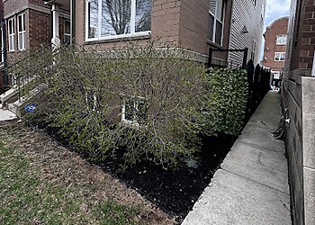 Chicago Landscaping Companies Arts Landscaping & Maintenance LLC