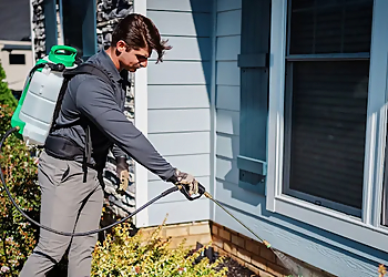 Greensboro Pest Control Companies Aruza Pest Control