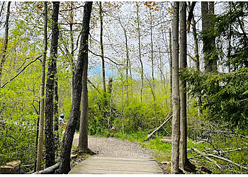Erie Hiking Trails Asbury Woods
