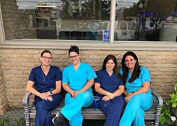 Bridgeport Veterinary Clinics Ash Creek Animal Hospital & Spa