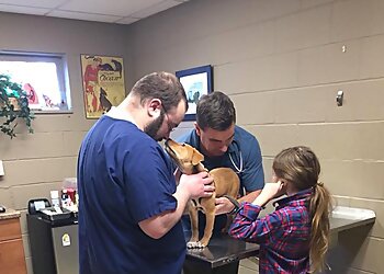 Bridgeport Veterinary Clinics Ash Creek Animal Hospital & Spa