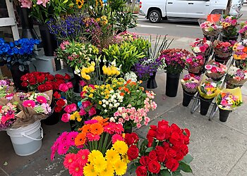 Berkeley Florists Ashby Flowers