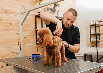 Ashcroft Pet Resort Fort Collins Pet Grooming image 1