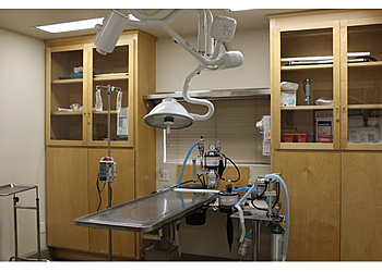 Downey Veterinary Clinics Ashton Animal Hospital