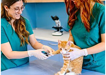 Downey Veterinary Clinics Ashton Animal Hospital