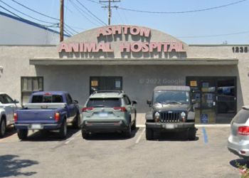 Ashton Animal Hospital Downey Veterinary Clinics