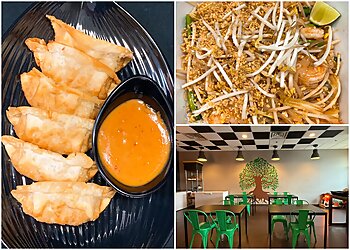 Rochester Thai Restaurants Asia Fusion