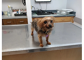 Baton Rouge Veterinary Clinics Associated Veterinary Services