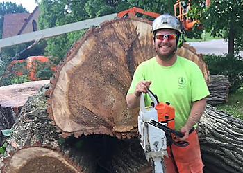 Rochester Tree Services Astorino's Tree Service LLC