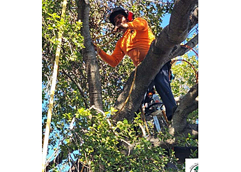 Concord Tree Services Atlas Tree Service Inc.