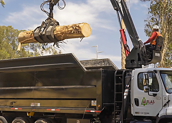 Santa Rosa Tree Services Atlas Tree Surgery, Inc.