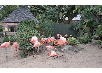 New Orleans Public Parks Audubon Park