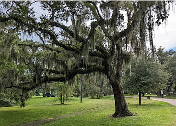 New Orleans Public Parks Audubon Park