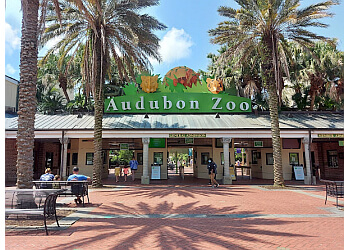 Audubon Zoo New Orleans Places To See