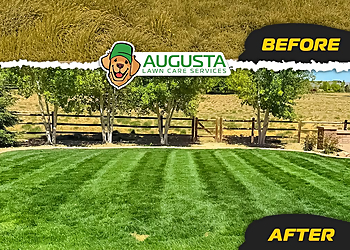 Augusta Lawn Care of Issaquah - Bellevue, WA Lawn Care Services - Service Image