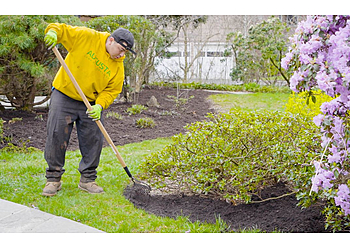 Scottsdale Lawn Care Services Augusta Lawn Care of Scottsdale