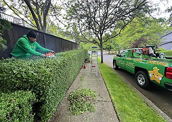 Vancouver Lawn Care Services Augusta Lawn Care of Vancouver