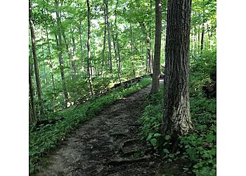 Cincinnati Hiking Trails Ault Park