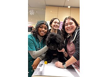 Seattle Veterinary Clinics Aurora Veterinary Hospital