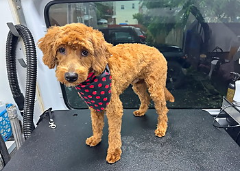 Allentown Pet Grooming Aussie Pet Mobile, Inc.