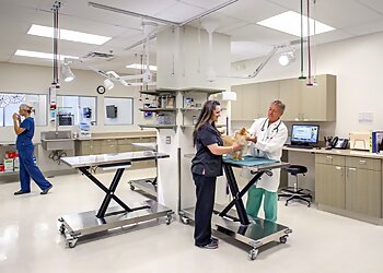 Austin Veterinary Clinics Austin Veterinary Emergency & Specialty Center