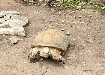 Austin Places To See Austin Zoo