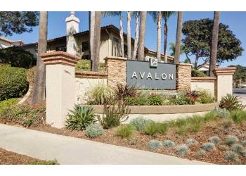 San Diego apartments for rent Avalon La Jolla Colony