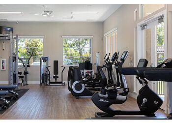 San Jose Apartments For Rent Avalon Willow Glen