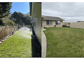Axel’s Lawn Maintenance - Salinas, CA Lawn Care Services - Job Site Image