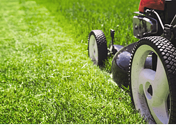 Axel’s Lawn Maintenance - Salinas, CA Lawn Care Services - Field Work Image