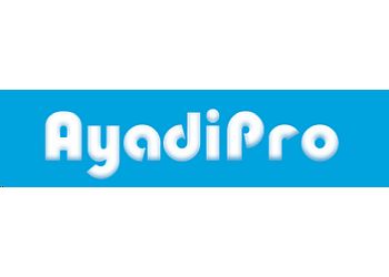 AyadiPro INC. Santa Clara Web Designers